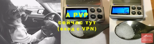 a pvp Абаза