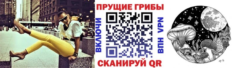 Псилоцибиновые грибы Psilocybine cubensis  Ливны 